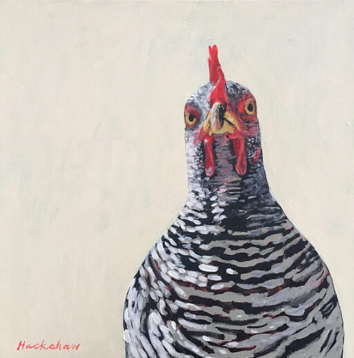 "Henriette Barred Rock" Acrylic on 20" x 20" Canvas Available on Etsy - Chicken Painting by Ashley Hackshaw / Lil Blue Boo 