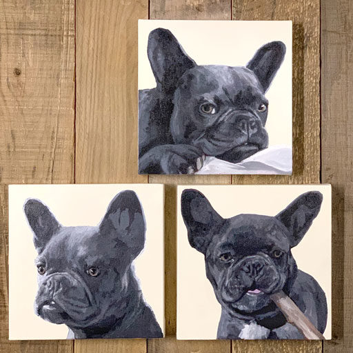 Pet Portraits by Ashley Hackshaw - Dog painting - Frenchie painting 