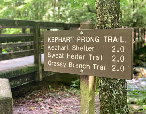 Kephart Prong Trail and Remnants of an CCC Camp