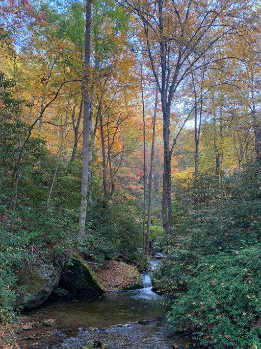 Indian Creek where it meets up with Deep Creek