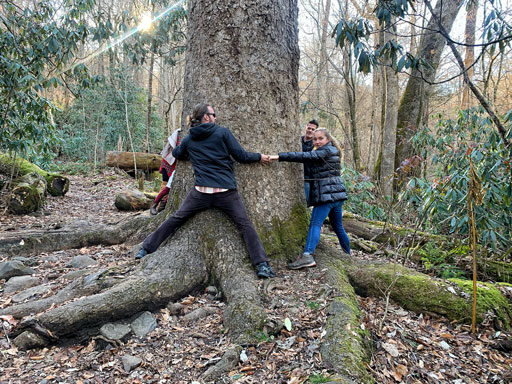 yce Kilmer Memorial Forest and 400 Year Old Trees